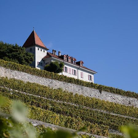 Domaine Du Burignon Hotel Saint-Saphorin Buitenkant foto
