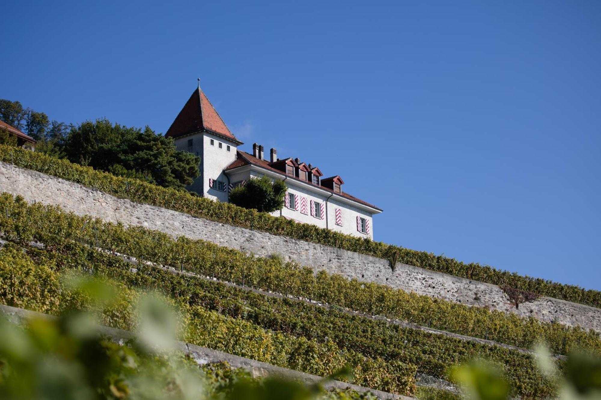 Domaine Du Burignon Hotel Saint-Saphorin Buitenkant foto