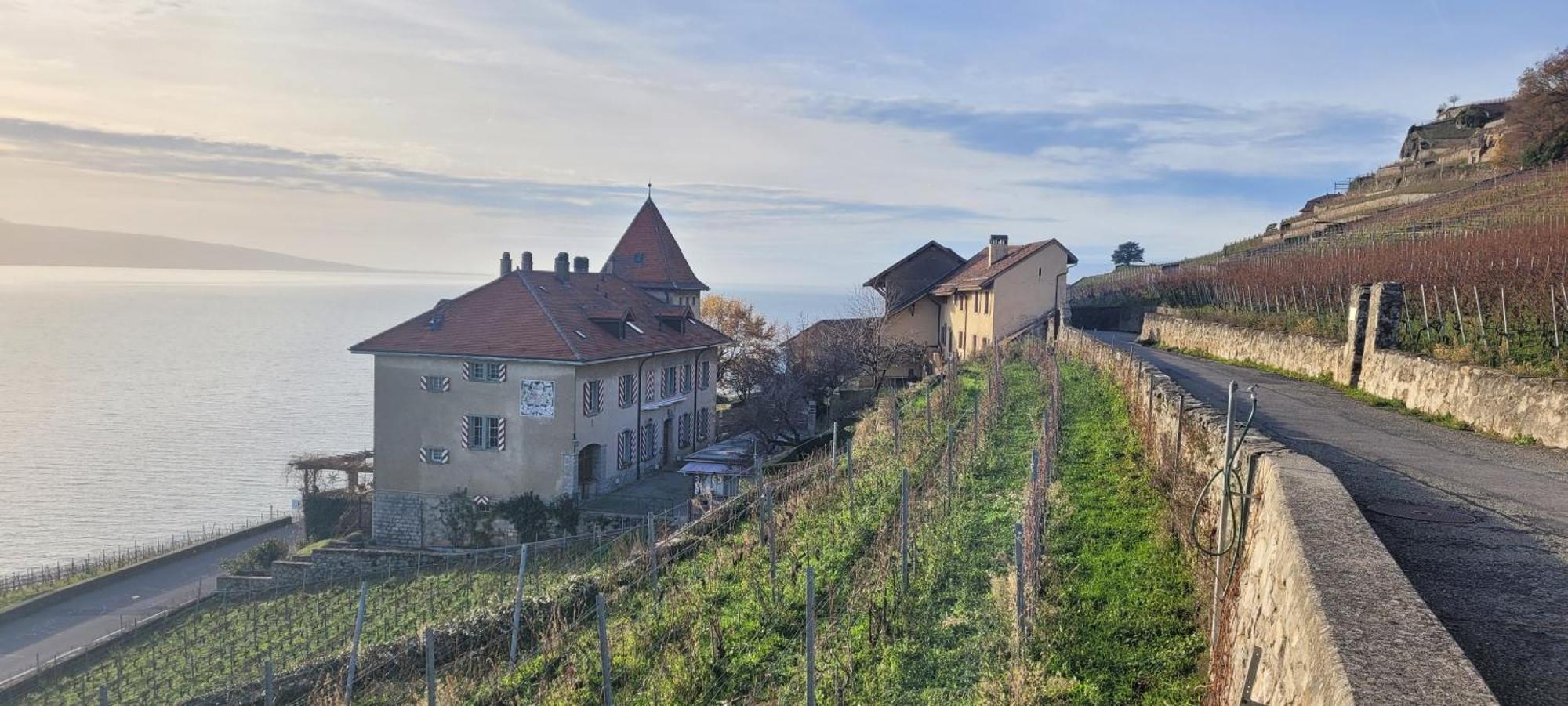 Domaine Du Burignon Hotel Saint-Saphorin Buitenkant foto
