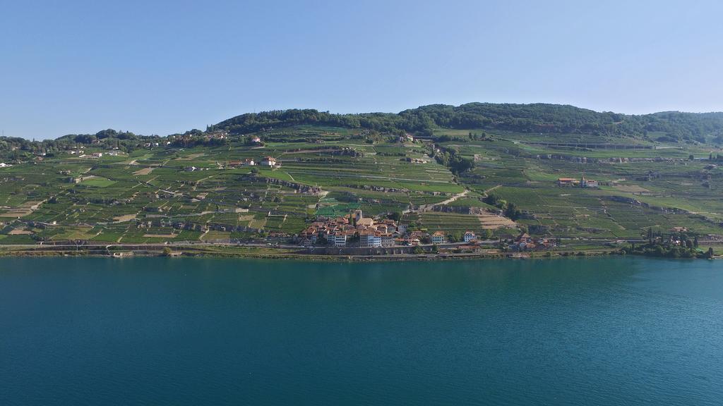 Domaine Du Burignon Hotel Saint-Saphorin Buitenkant foto