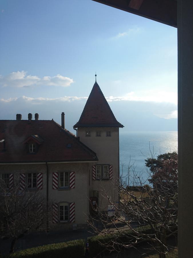 Domaine Du Burignon Hotel Saint-Saphorin Buitenkant foto